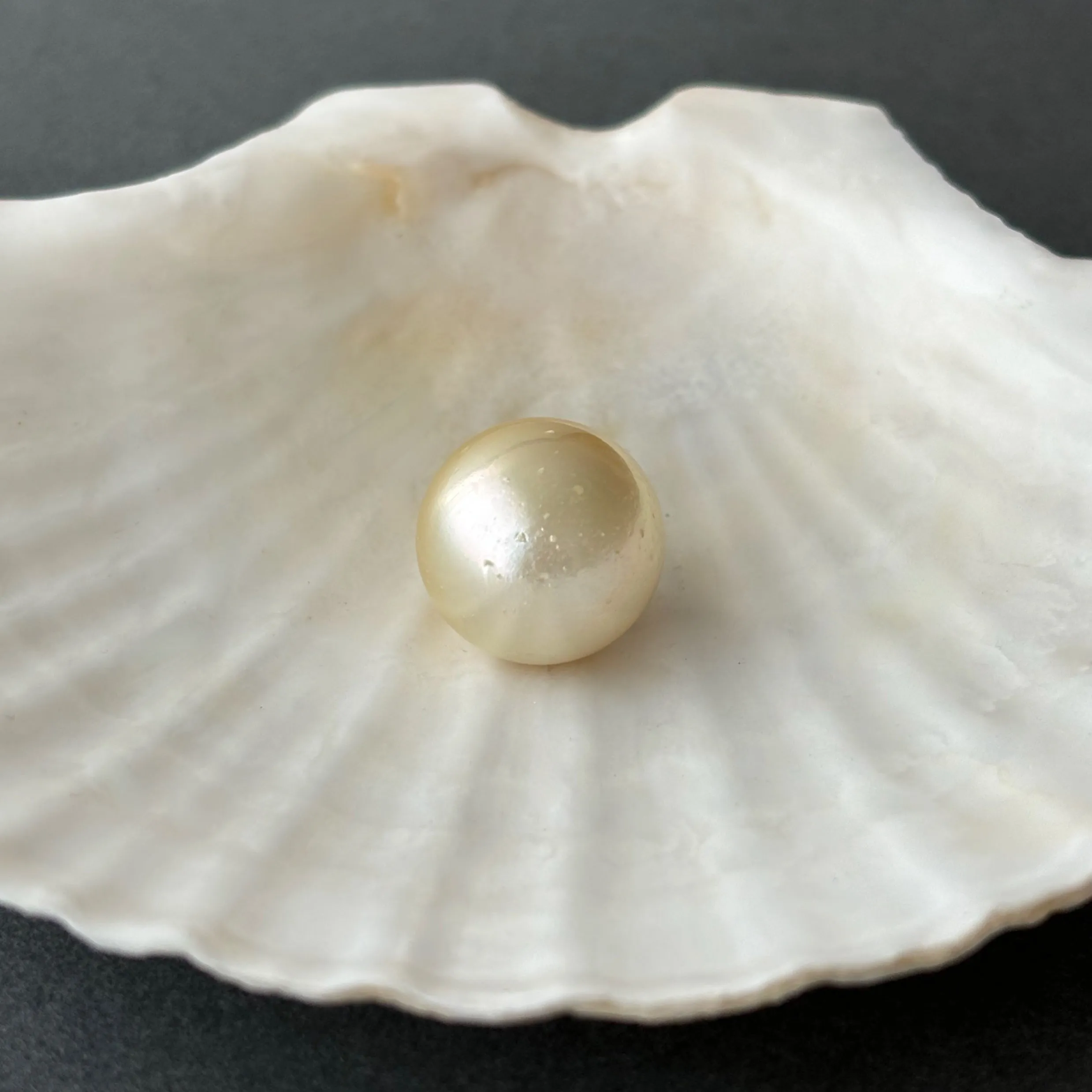 17mm  GORGEOUS SOUTH SEA BANDED DROP PEARL PENDANT